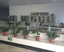 污视频免费展示